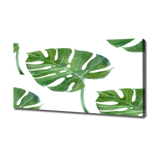 Bild auf leinwand Monstera