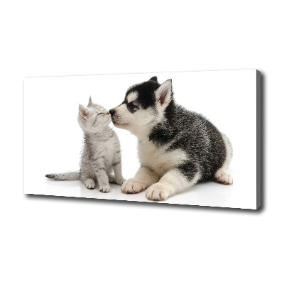Wandbild Hund und Katze