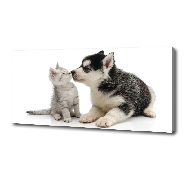 Wandbild Hund und Katze