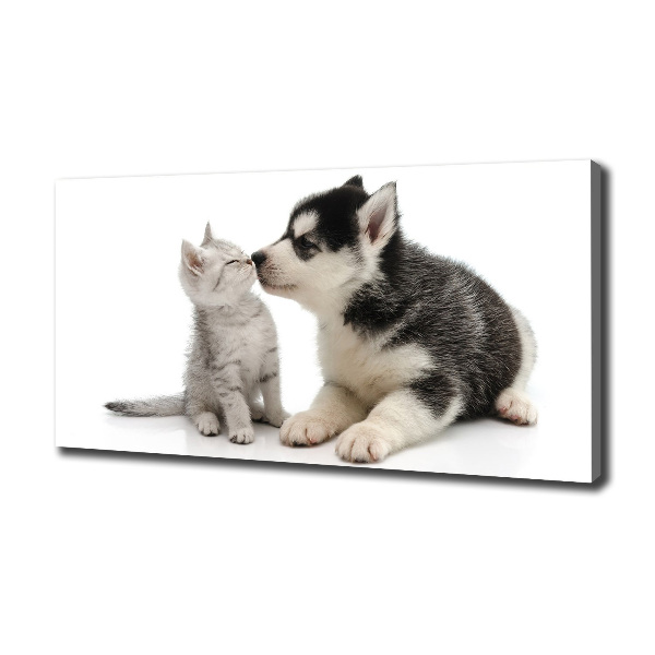 Wandbild Hund und Katze