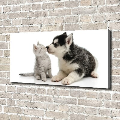 Wandbild Hund und Katze
