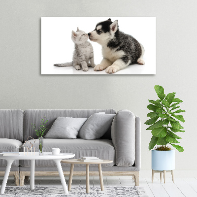 Wandbild Hund und Katze