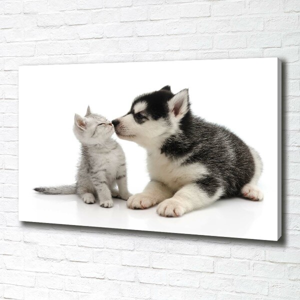 Wandbild Hund und Katze
