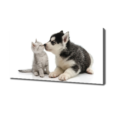 Wandbild Hund und Katze