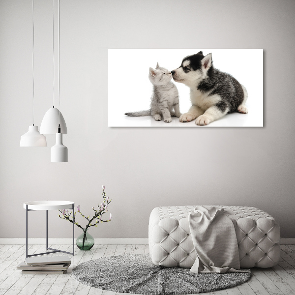 Wandbild Hund und Katze