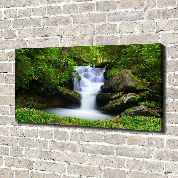 Bild auf leinwand Wasserfall im Wald