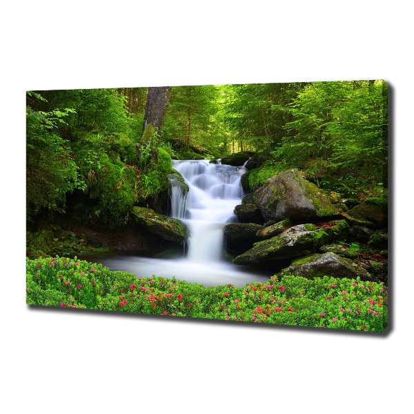 Bild auf leinwand Wasserfall im Wald