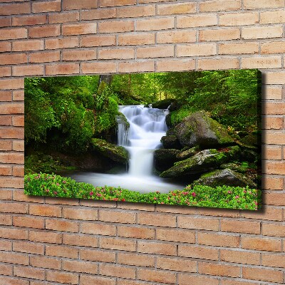 Bild auf leinwand Wasserfall im Wald