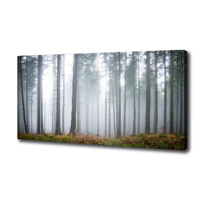 Fotobild Nebel im Wald
