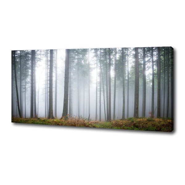 Fotobild Nebel im Wald