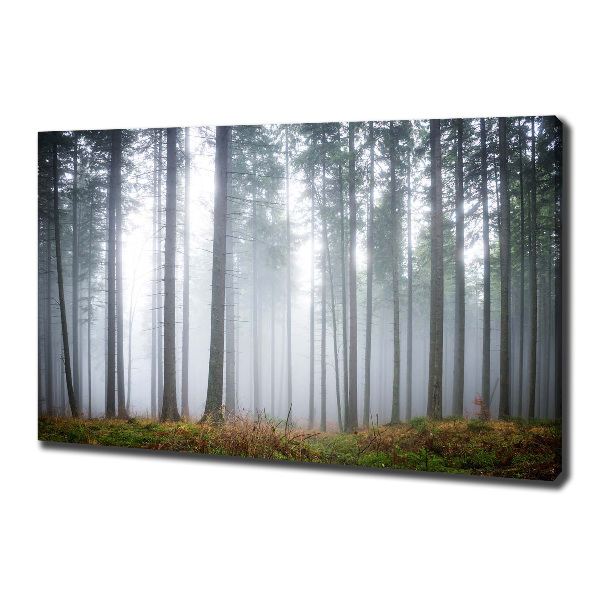 Fotobild Nebel im Wald