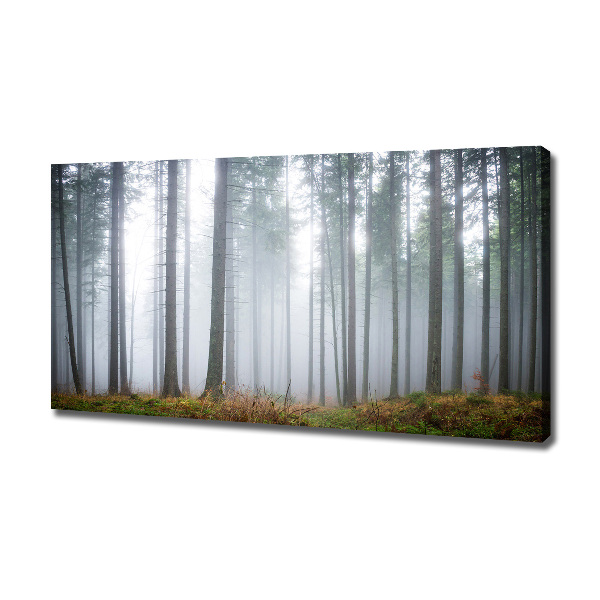 Fotobild Nebel im Wald