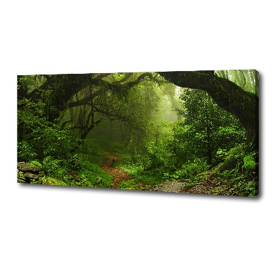 Fotobild Dschungel in Nepal