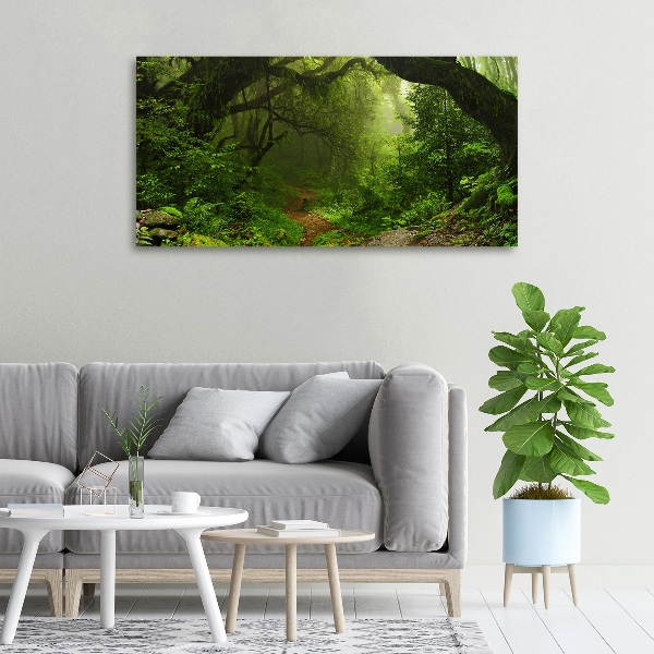 Fotobild Dschungel in Nepal