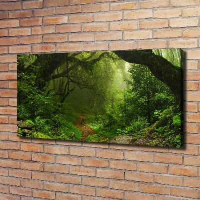 Fotobild Dschungel in Nepal