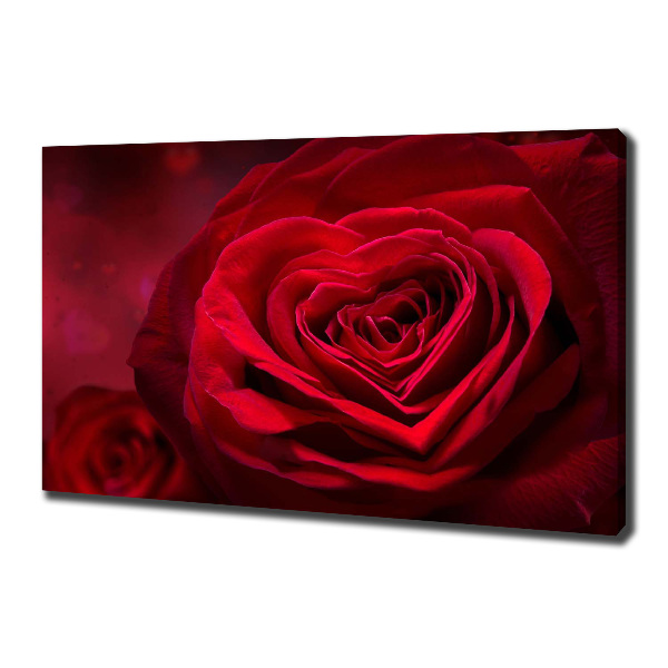 Fotobild Herz aus roter Rose