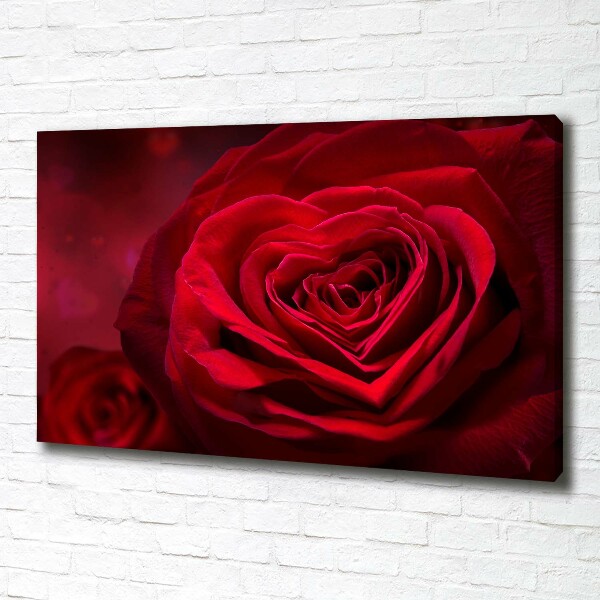 Fotobild Herz aus roter Rose