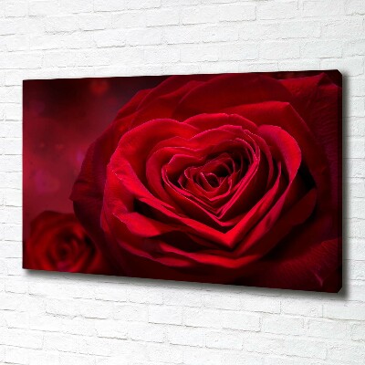 Fotobild Herz aus roter Rose