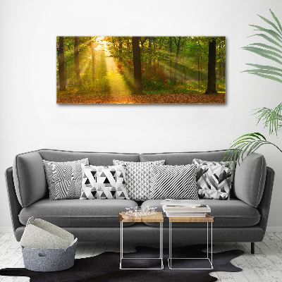 Bild auf leinwand Wald in der Sonne