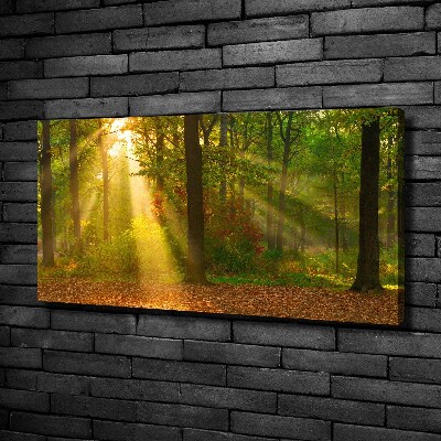 Bild auf leinwand Wald in der Sonne