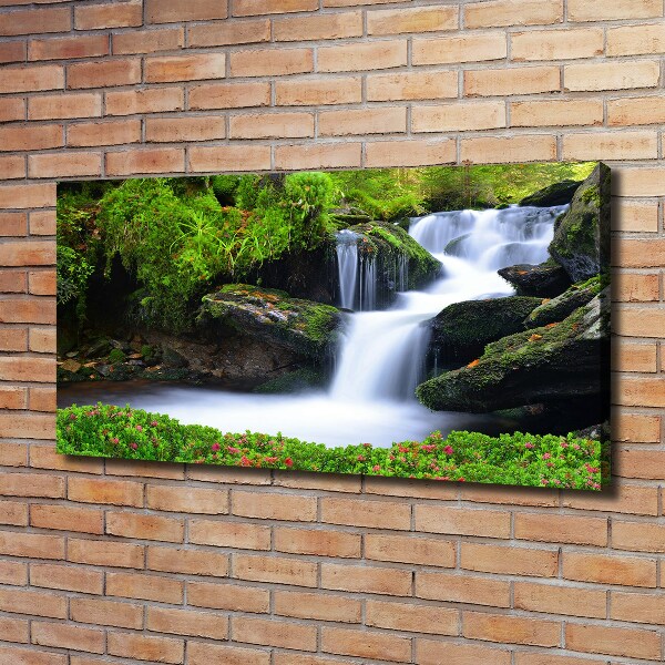 Wandbild Wasserfall im Wald