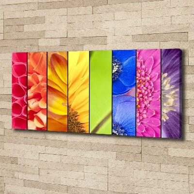 Bild auf leinwand Bunte Blumen
