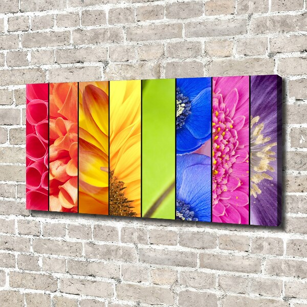 Bild auf leinwand Bunte Blumen