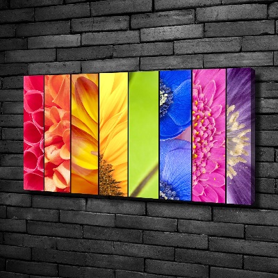Bild auf leinwand Bunte Blumen