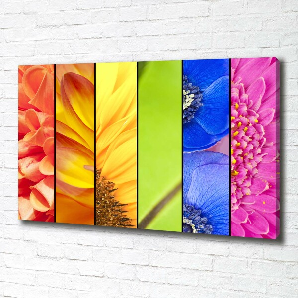 Bild auf leinwand Bunte Blumen
