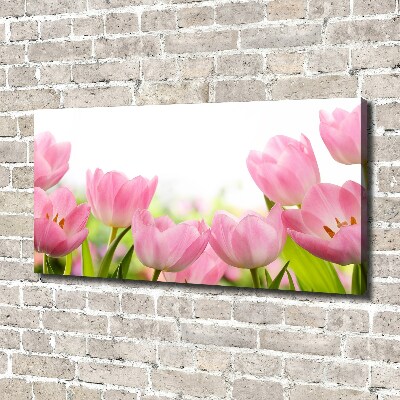 Wandbild Rosa Tulpen