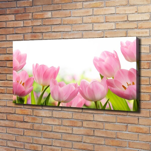 Wandbild Rosa Tulpen