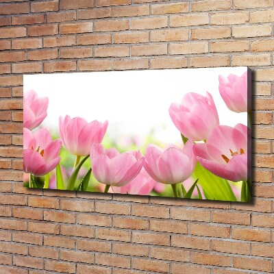 Wandbild Rosa Tulpen
