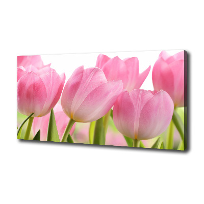 Fotobild Rosa Tulpen