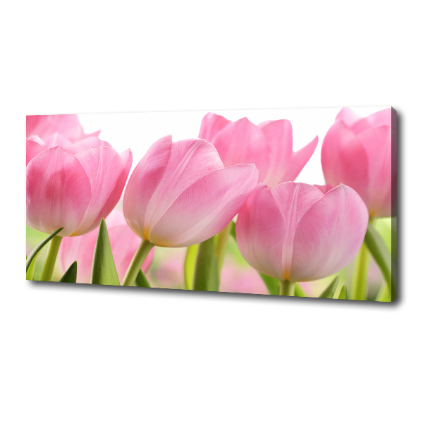 Fotobild Rosa Tulpen
