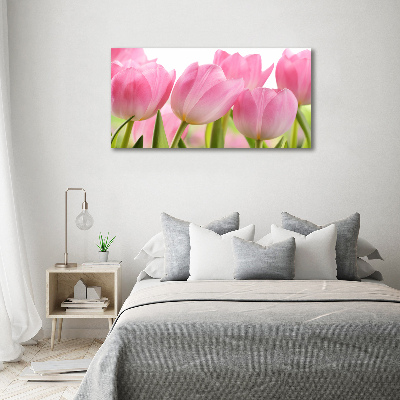 Fotobild Rosa Tulpen