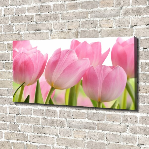 Fotobild Rosa Tulpen