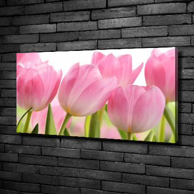 Fotobild Rosa Tulpen