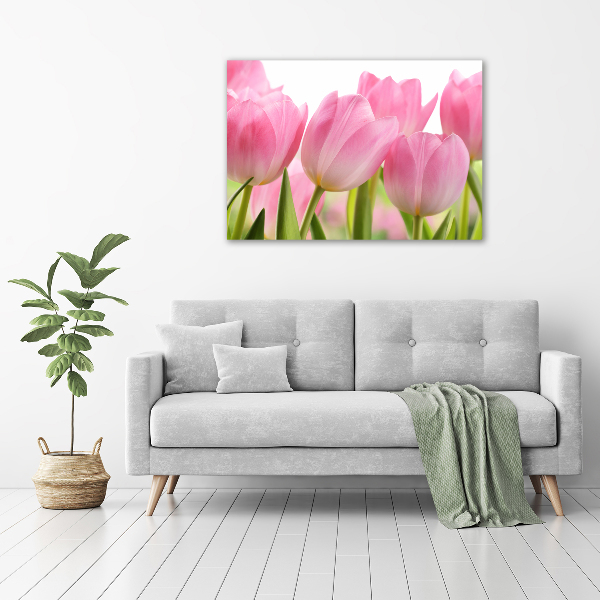 Fotobild Rosa Tulpen