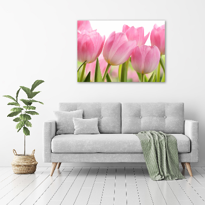 Fotobild Rosa Tulpen