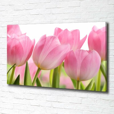 Fotobild Rosa Tulpen
