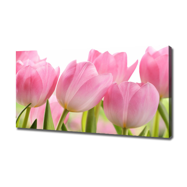 Fotobild Rosa Tulpen