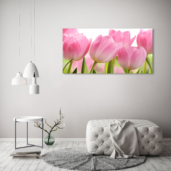 Fotobild Rosa Tulpen
