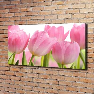 Fotobild Rosa Tulpen