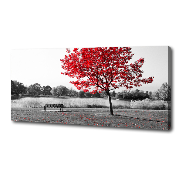 Bild auf leinwand Roter Baum
