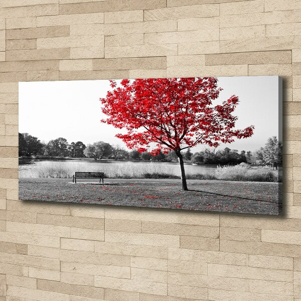 Bild auf leinwand Roter Baum