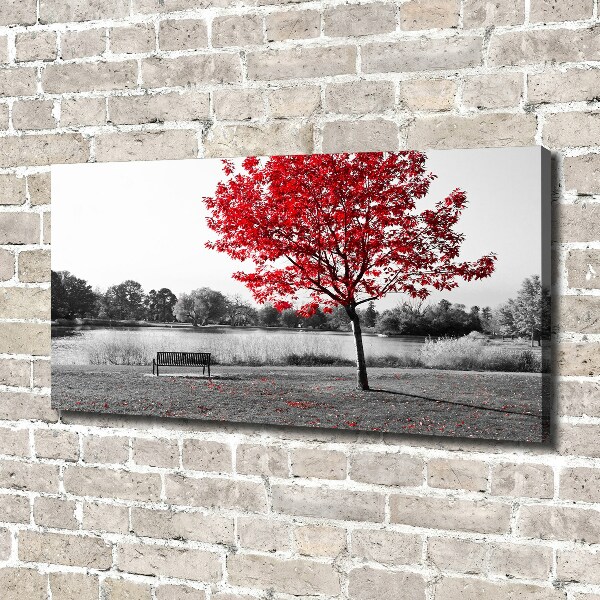 Bild auf leinwand Roter Baum