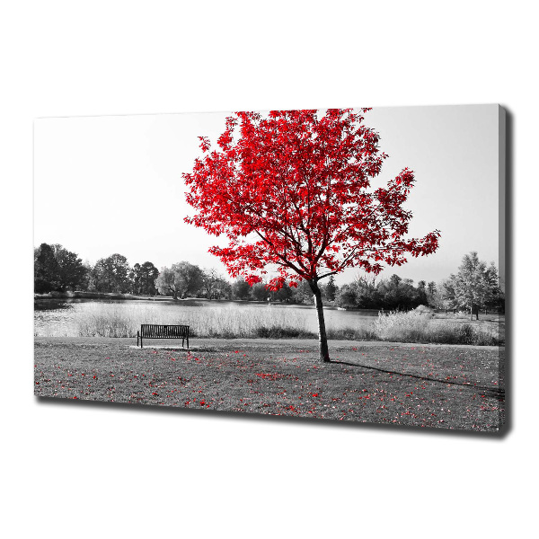Bild auf leinwand Roter Baum