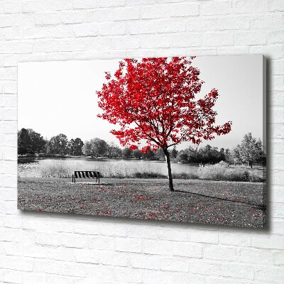 Bild auf leinwand Roter Baum