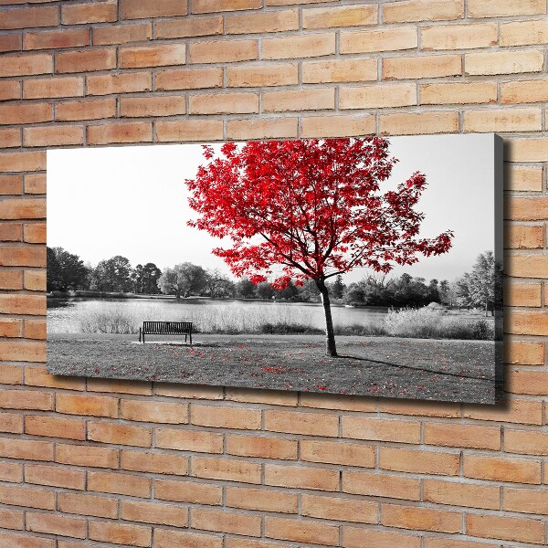 Bild auf leinwand Roter Baum