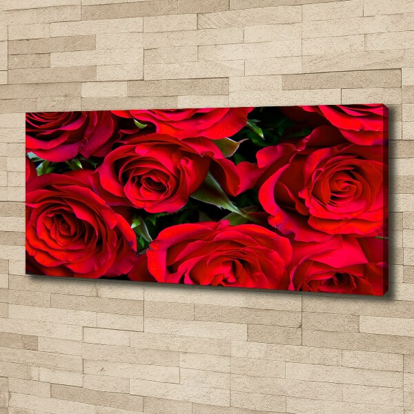 Bild auf leinwand Rote Rosen